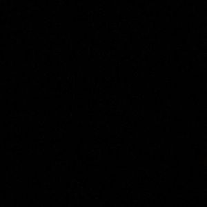 Meet your Posher, Lilly